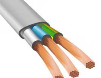 ������ ���������