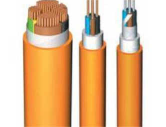 ������ �����������