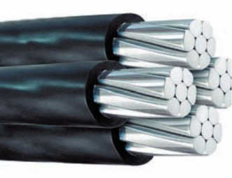 ����� ��� ��������� ���� �������